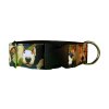 Collar Bullterrier Heads