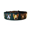 Obojek Bullterrier Hlavy