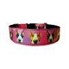 Collar Bullterrier Heads