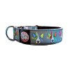 Collar Bullterrier Star
