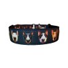 Semi-slip Collar Bullterrier Heads