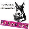 Polostahovací obojek Bullterrier Hlavy