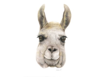 lamaprint