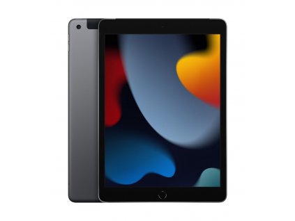 Apple iPad/WiFi+Cell/10,2"/2160x1620/256GB/iPadOS15/Gray