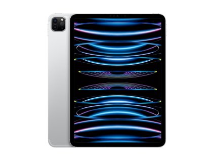Apple iPad Pro 11"/WiFi + Cell/11"/2388x1668/16GB/1TB/iPadOS16/Silver