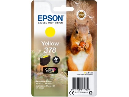 378 squirrel y single front png s