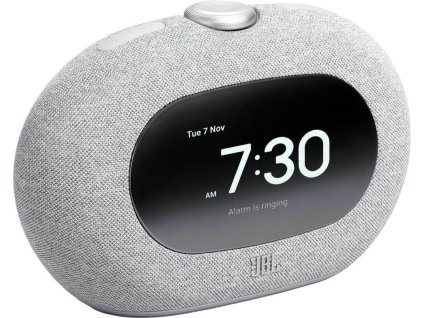 250626124548 jbl horizon3 grey