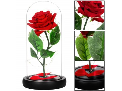 vecna-ruza-s-led-osvetlenim--21-cm