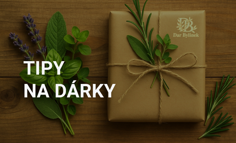 Tipy na dárky
