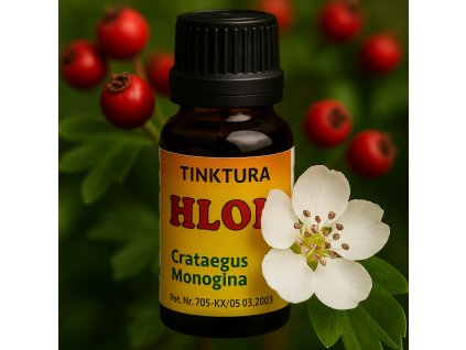 Hloh tinktura