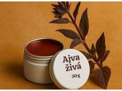 ajva ziva darbylinek (kopie)