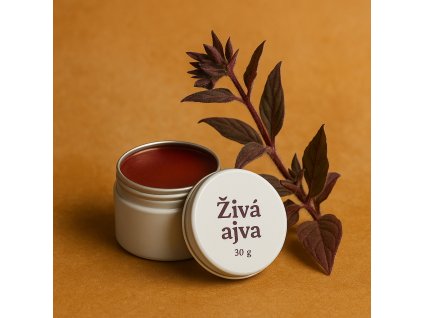 Bylinná mast Živá ajva