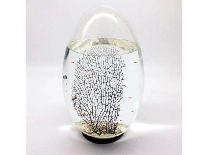 Beachworld biosfera s gorgoniou 40 cm