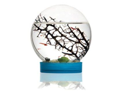 Beachworld – mini biosfera