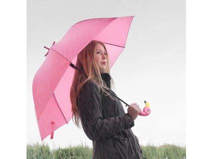 Dazdnik na nohe plameniak