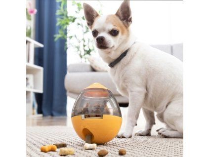 Hracka s davkovacom maskrt pre psov