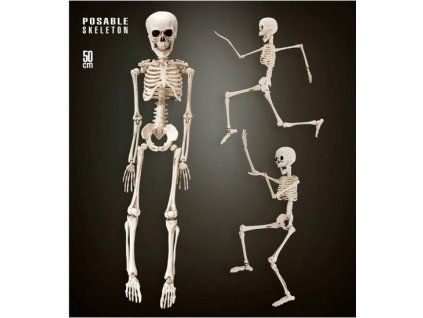 Model kostry 50 cm