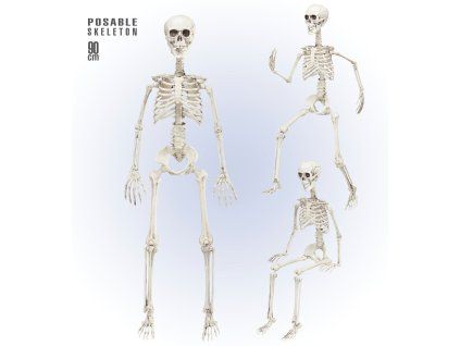 Model kostry XXL 80 cm
