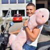 Velky plysovy penis vankus