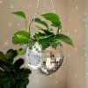 Zavesny kvetinac disco gula