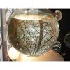BEACHWORLD, 15 cm – uzavrety ekosystem s garnatmi