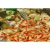 BEACHWORLD, 15 cm – uzavrety ekosystem s garnatmi
