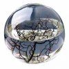 BEACHWORLD, 15 cm – uzavrety ekosystem s garnatmi