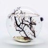 BEACHWORLD 20 cm – uzavrety ekosystem s garnatmi (mini biosfera)