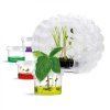 Nafukovaci mini sklenik Moon Greenhouse