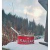 Surstromming KALLAX