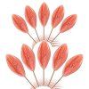 Eroticka lizanka vagina