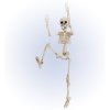 Kostra Skeleton 50 cm