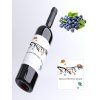 vyr 1426cucoriedkove vtaciky
