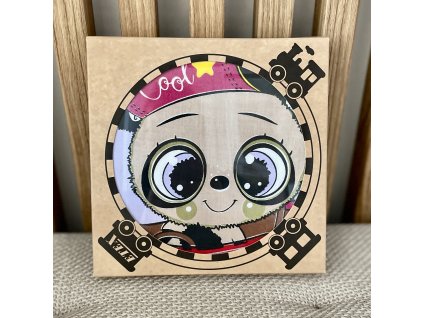 SADA BAVLNENÝCH VRECKOVIEK AUTÍČKO