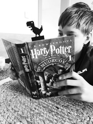 Záložka DINO - rôzne farby 😎 #darcekypredeti #darujvskolke #darujvskole #malickosti #drobnosti