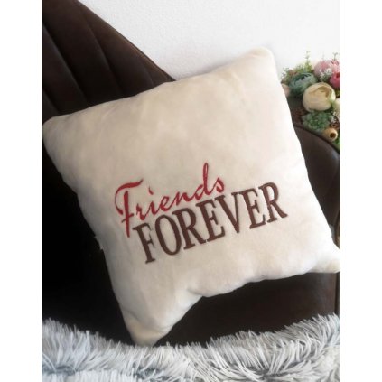 Vankúš Friends Forever