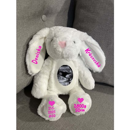 zajacik biely dievca ultrazvuk