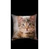 Vankúš Mačka 3
