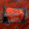 vankus milujem ta laska