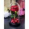 vyrn 941ruza cervena 2