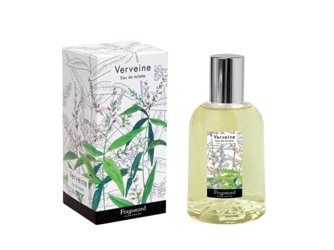 Verbena