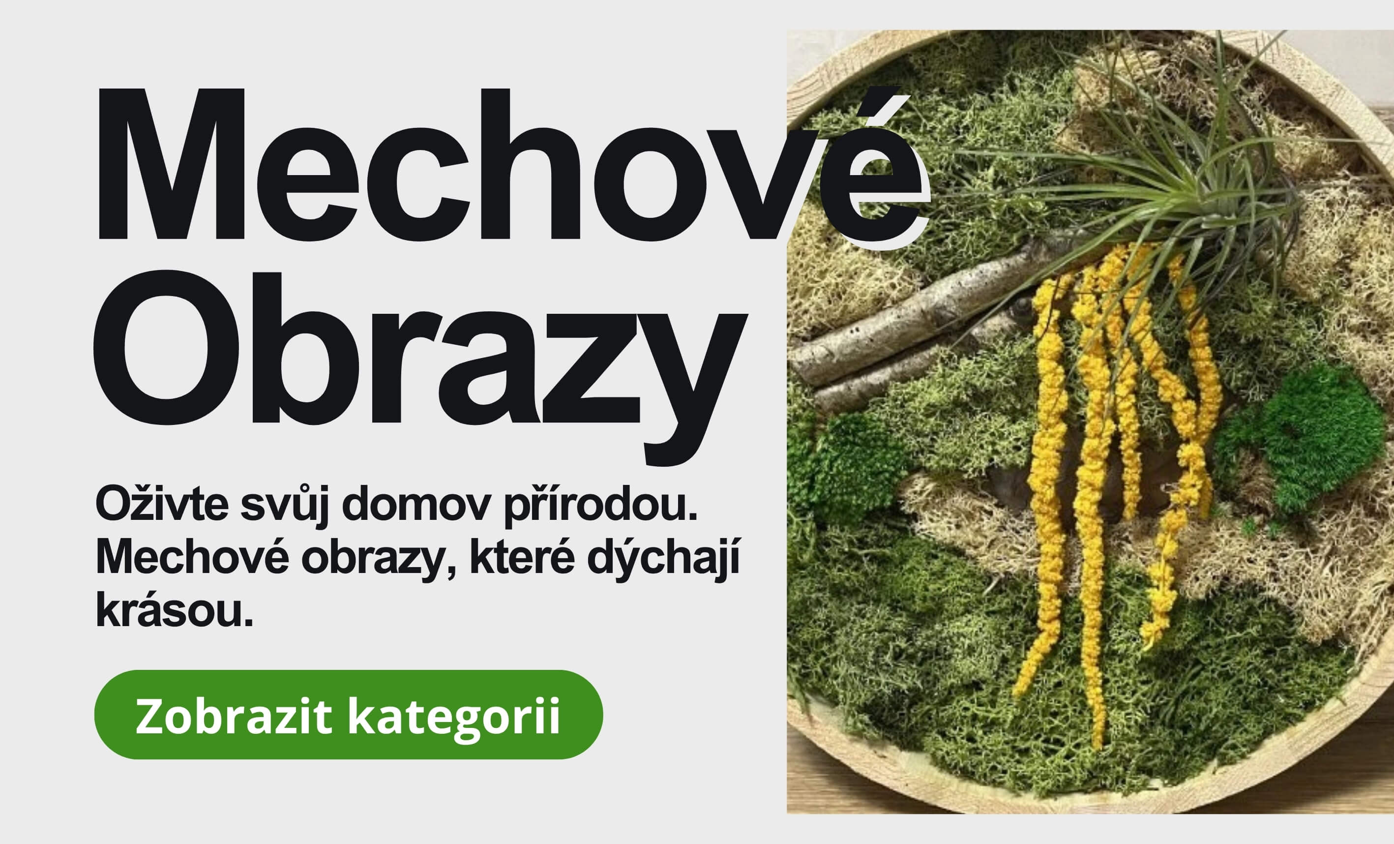 Hlavní baner