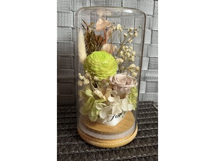 C7C779AF 23B7 4DB6 B64E 1FD30767A3B3