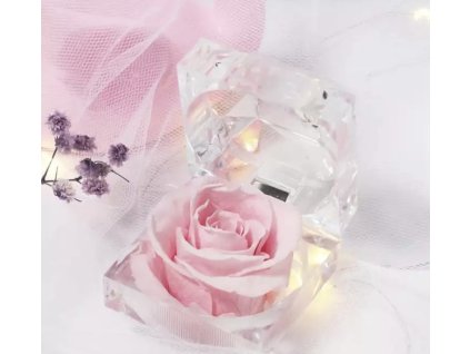 8E76639F CF21 4260 B63A 6FE26A983448