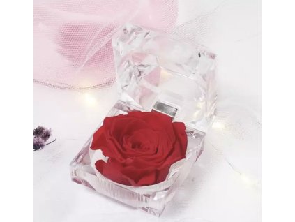 1AD961FC 9C0E 49C3 9794 A7CB1F0DFC27