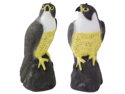 eng pl Falcon bird repeller of starlings pigeons and mice 2095 1