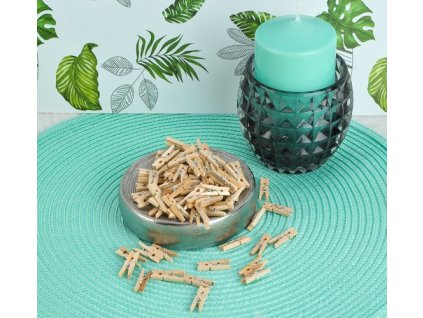 Mini kolíčky 100ks