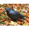 eng pl Large XXL starling bird repeller pigeons rodents 2094 8