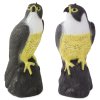 eng pl Falcon bird repeller of starlings pigeons and mice 2095 1