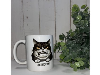 Hrnek - Před kávou, po kávě 330 ml